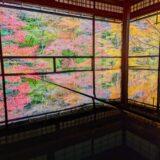 Autumn Splendor at Rurikō-in: A Visual Guide to Kyoto’s Famous Maple Reflections