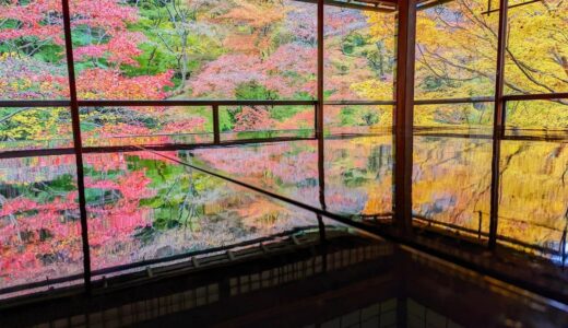 Autumn Splendor at Rurikō-in: A Visual Guide to Kyoto’s Famous Maple Reflections