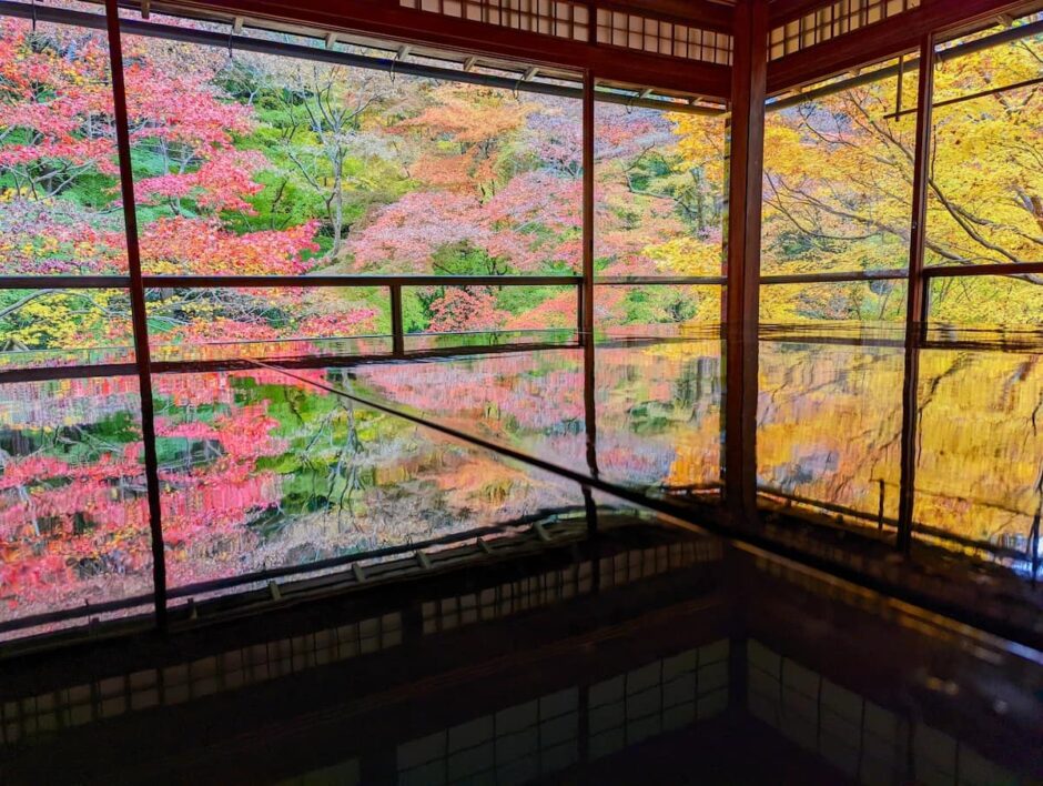 rurikoin's beautiful reflection of autumn maples