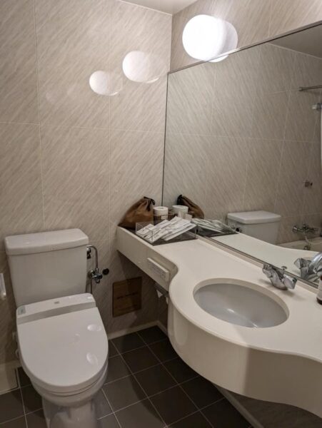 Combined bathroom and toilet