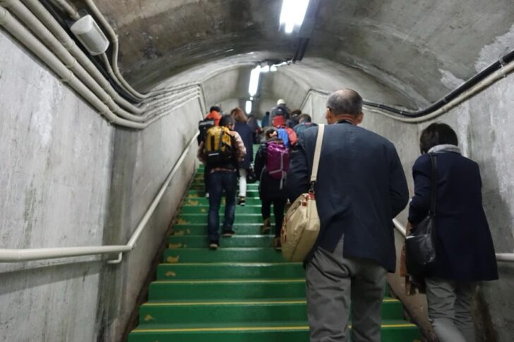 Visitors climbing the stairs