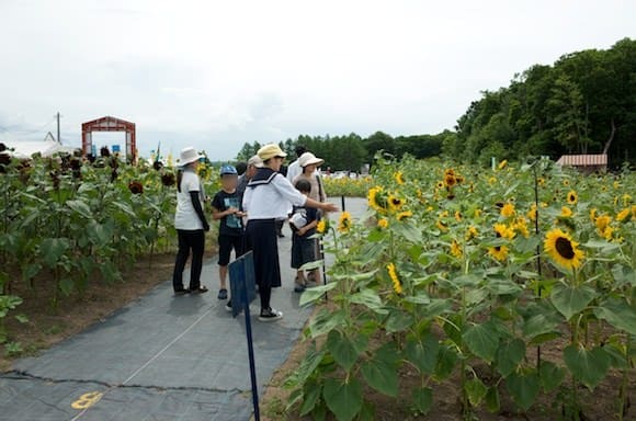 Local Students Guide Visitors at Hokuryucho