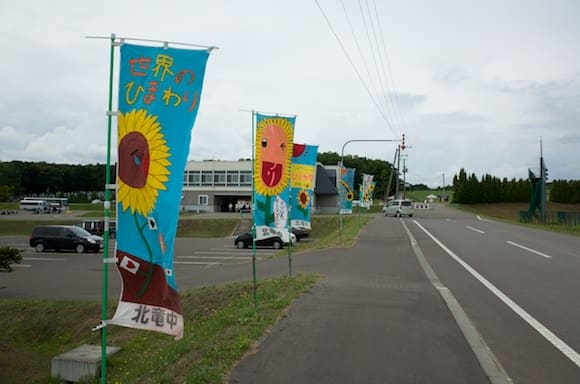 Hokuryucho Middle School Banners: Sunflowers of the World