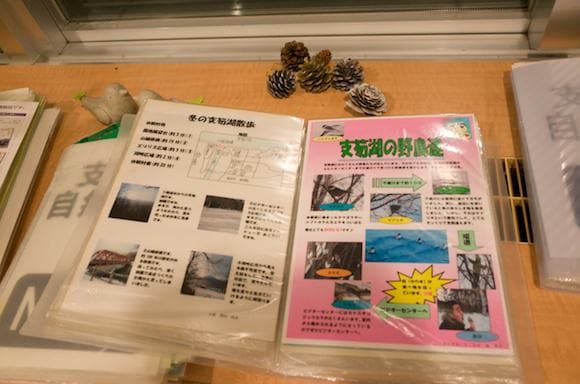 plenty of guides about walking trails and birdwatching around Lake Shikotsu