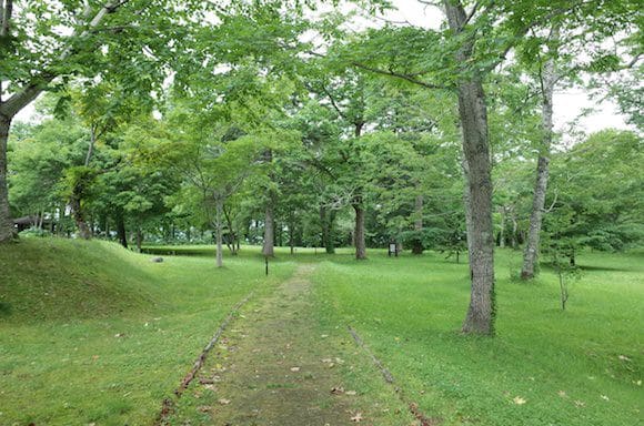 I took a brief walk through the forested area in front of the lodge