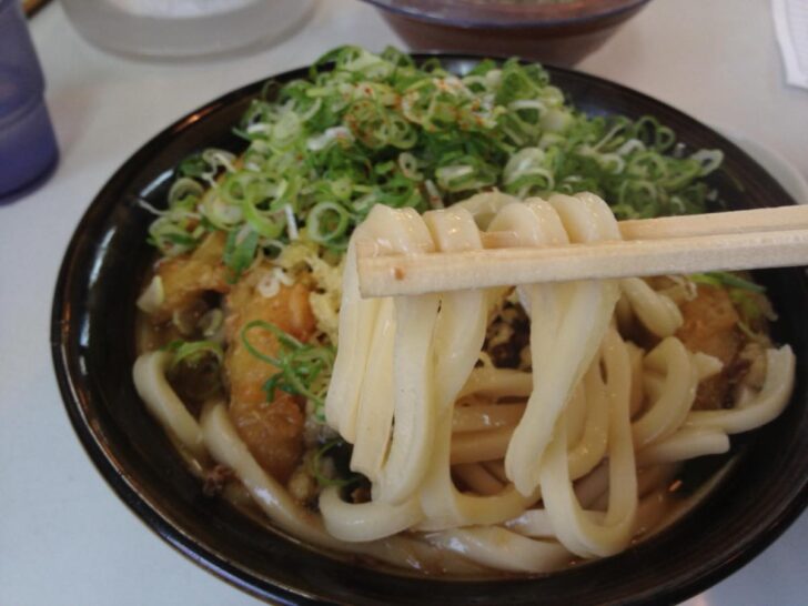 The firm noodles were chewy and thick, gradually softening as they absorbed the broth