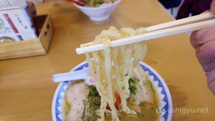 Flat, wavy noodles with a smooth texture