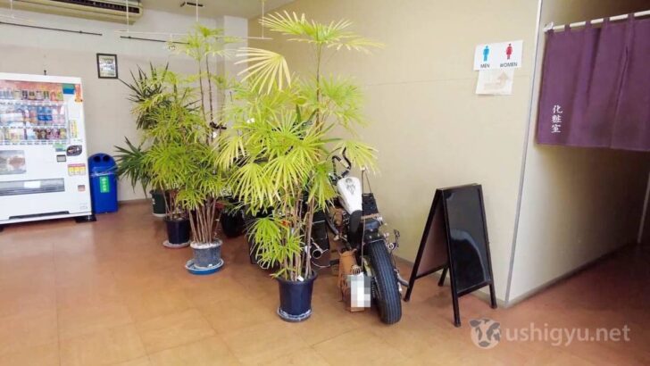 A motorcycle hidden among the plants near the entrance