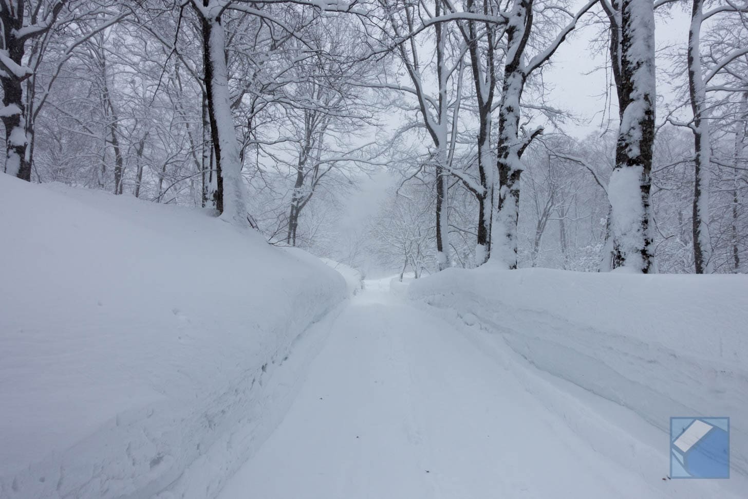 A Snowy Trek to Magoroku Onsen