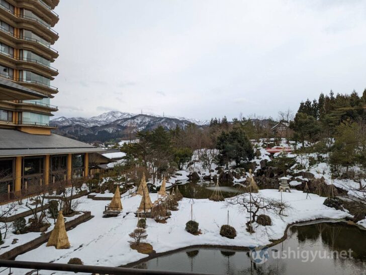 Garden view from window