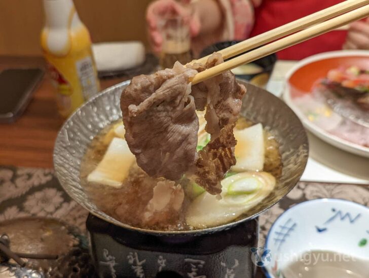 Wagyu beef hotpot