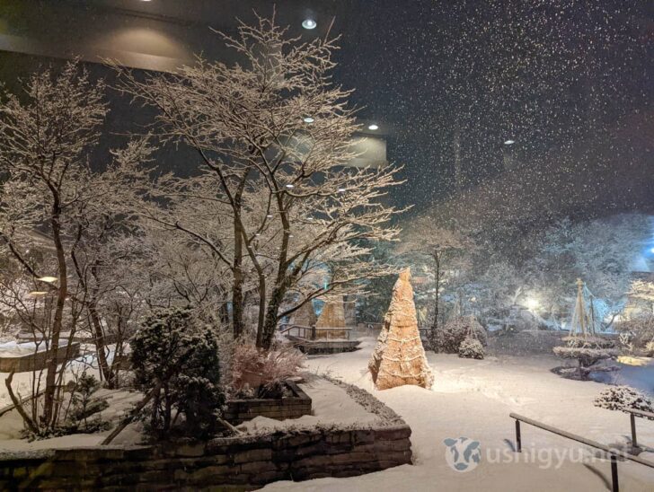 Snowy garden at night