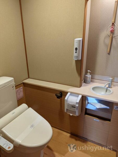 Toilet with washlet