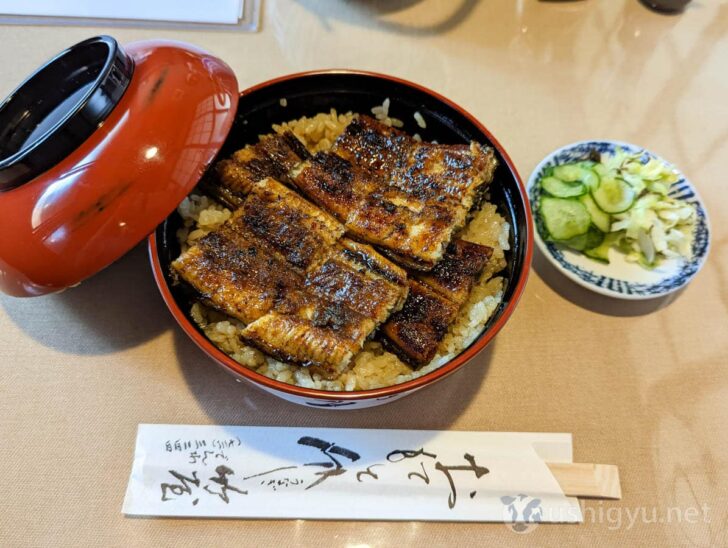 Perfectly grilled eel