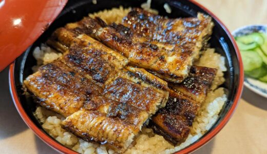 Takeya in Karatsu, Saga: Discover the Best Grilled Eel Bowl in a Historic Taisho-Era Building
