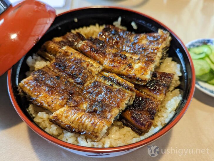 Incredibly flavorful eel bowl