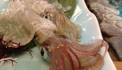 Experience the Original Live Squid Sashimi at Kawataro in Fukuoka's Nakasu District