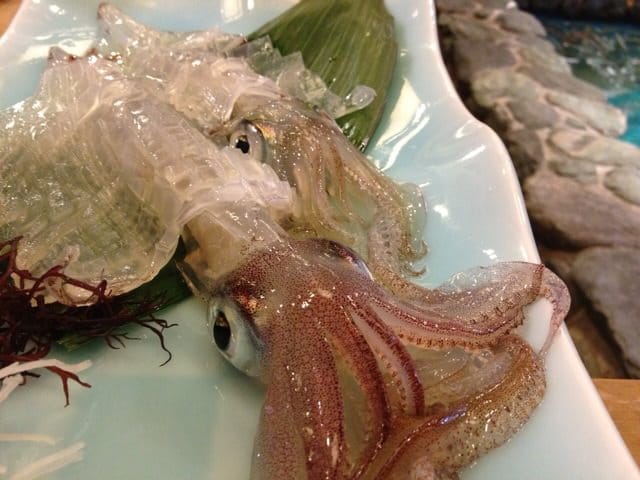 Kawataro Naksu Squid