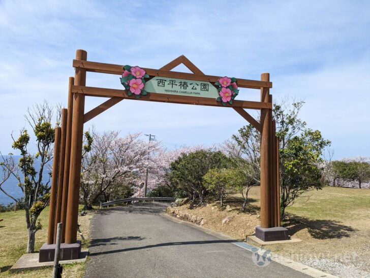 Arriving at Nishihira Tsubaki Park
