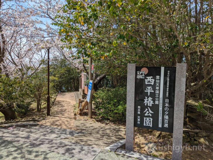 Path to the Laputa Tree begins here