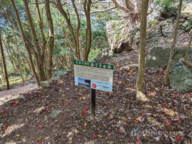 Sign pointing to the Laputa Tree and viewpoint