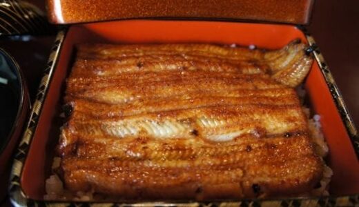 A Luxurious Unagi Experience at Obana: Tokyo’s Hidden Eel Masterpiece in Minami-Senju