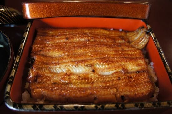 A Luxurious Unagi Experience at Obana