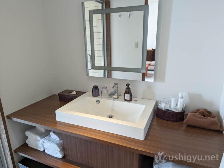 Sink and bathroom amenities