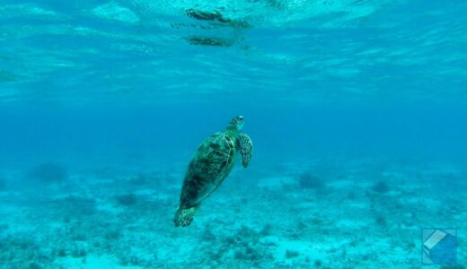 Zamami Island Travel Guide: Crystal-Clear Beaches and Local Charm Just an Hour from Naha
