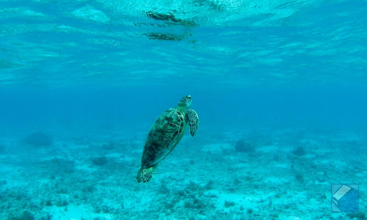 Zamami island sea 26