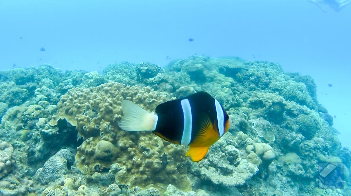 Zamami island sea 27