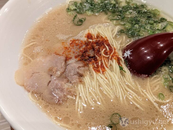 Brownish soup, thin slices of chashu, green onions, and spicy sauce closely resemble Ichiran