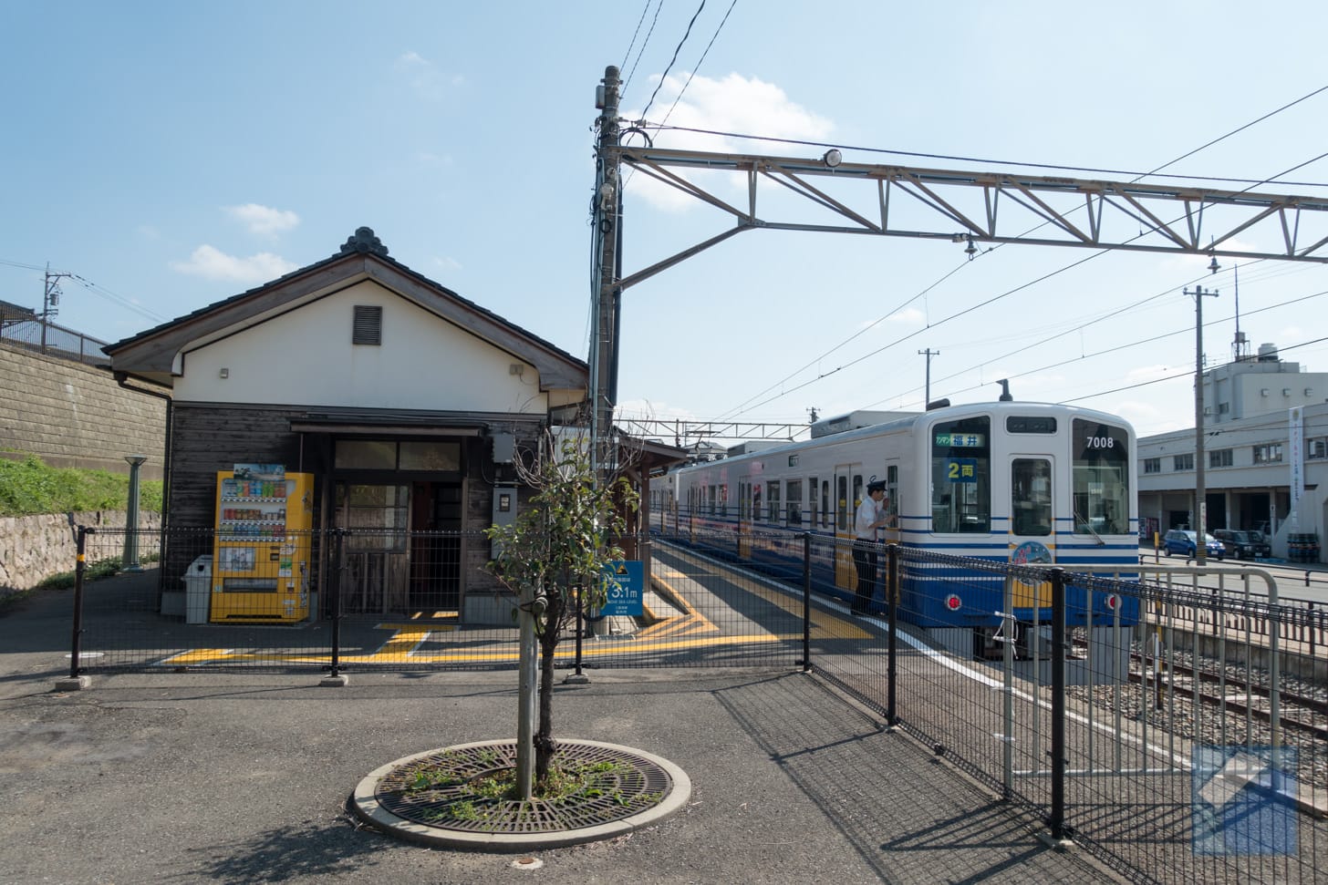 Tojinbo 28