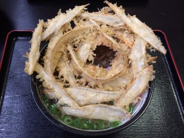 Daichi no Udon Main Store
