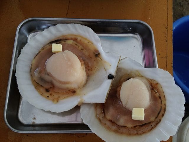 Itoshima oyster huts 10