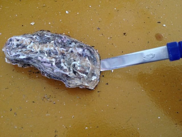 Itoshima oyster huts 13
