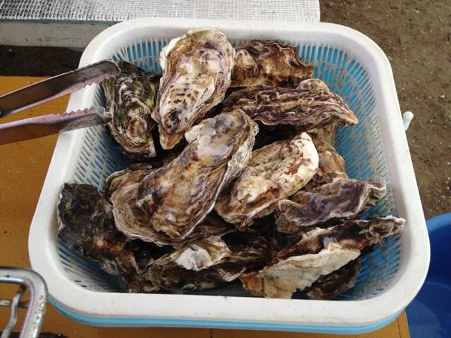 Itoshima oyster huts 9