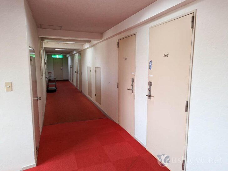 Hallway leading to the rooms feels quite old-fashioned