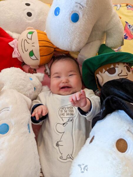 Fun taking photos with many plush toys