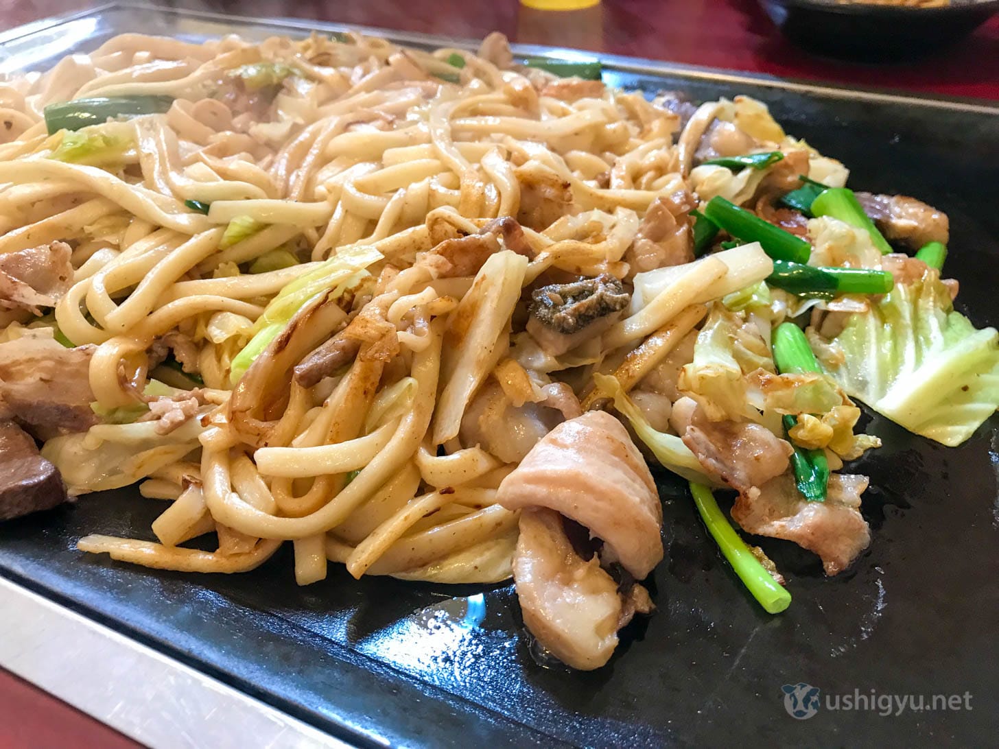 Sayo Hormone Yaki Udon