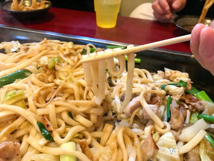Thick square-cut udon noodles