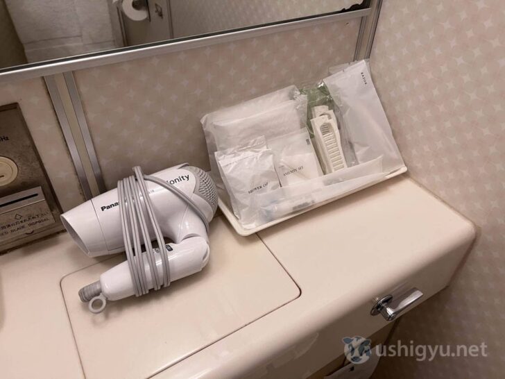 Hair dryer, brush, and other items