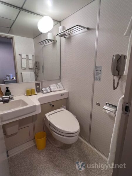 Modern washlet toilet installed