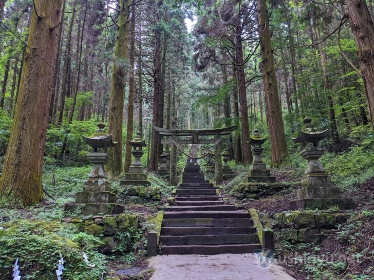 After walking for a while, a torii gate appeared