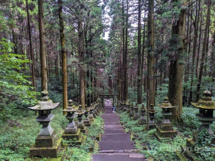 The approach in front of the main hall, with its rows of lanterns, makes for particularly photogenic angles