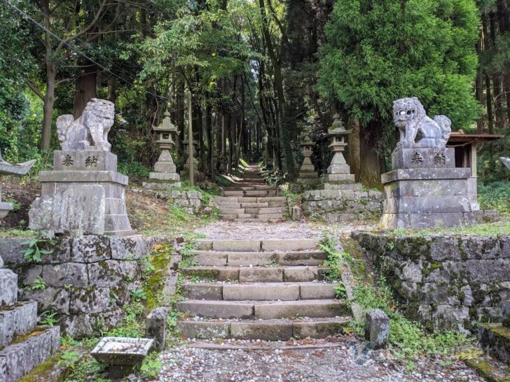 Pass between the guardian lion-dogs and enter the approach path lined with lanterns and dense trees