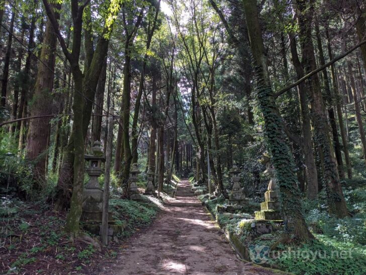 Even on sunny days, the path is quite dim, blocked by the trees