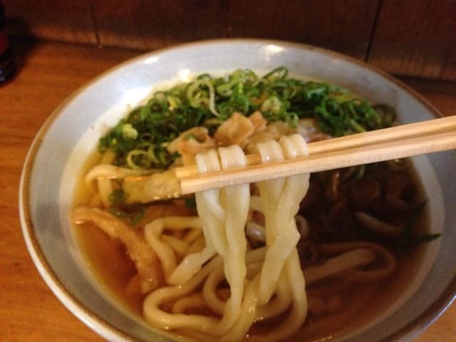 Close-up of soft but chewy udon noodles