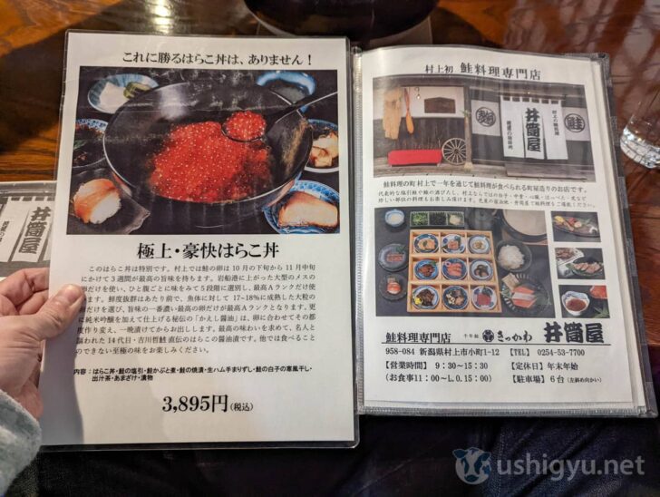 Premium Hara-ko Don salmon roe rice bowl
