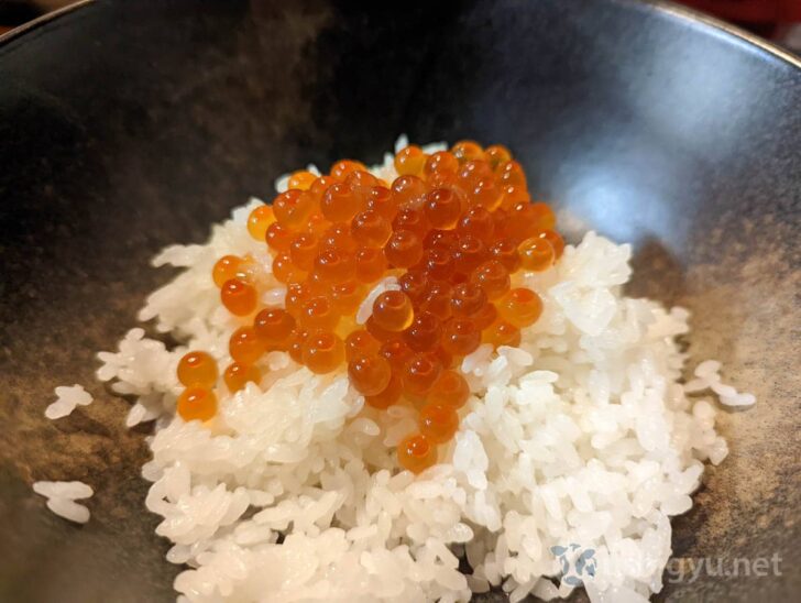 Beautiful contrast of rice and salmon roe